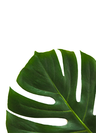 Green Leaf